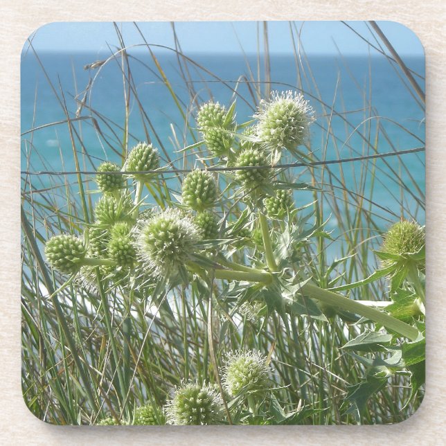 Kartonen Untersetzer (Vorderseite)