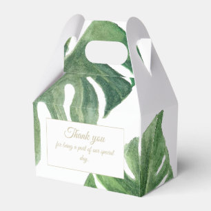 Käse Pflanze Tropische Gewürze Box Geschenkschachtel
