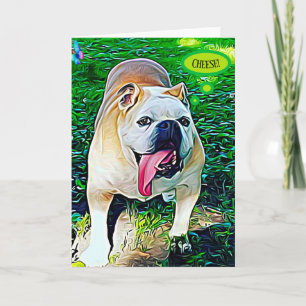 Käsefröhliches Bulldohportrait