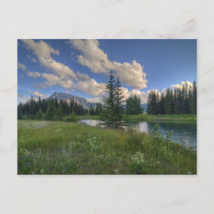 Kaskadenbecken Postkarte