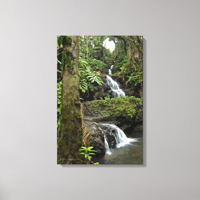 "KASKIERENDER WASSERFALL IN HAWAIIAN TROPICAL GARD LEINWANDDRUCK (Vorderseite)