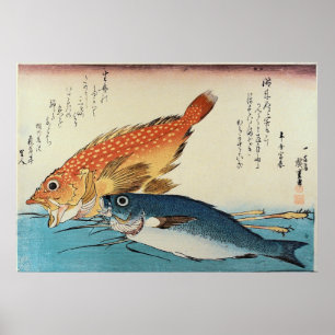 Kasogo & Himedai - Japanische Fischdruckerei in Hi Poster