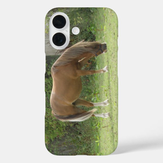 Kastanie Brown Horse Grazing iPhone Case (Rückseite)