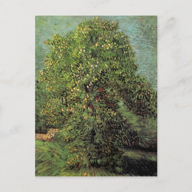 Kastanie in Blossom, Vincent van Gogh Postkarte (Vorderseite)