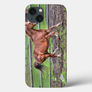 Kastanie-Kastanie-Stallion Pferdeliebhaber Pferdek Case-Mate iPhone Hülle
