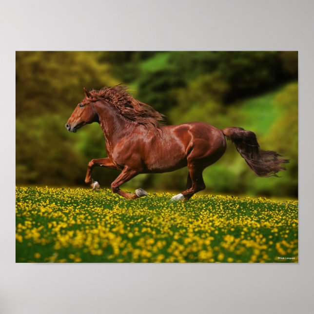 Kastanie Lusitano, die in Schmetterlingen läuft Poster (Vorne)