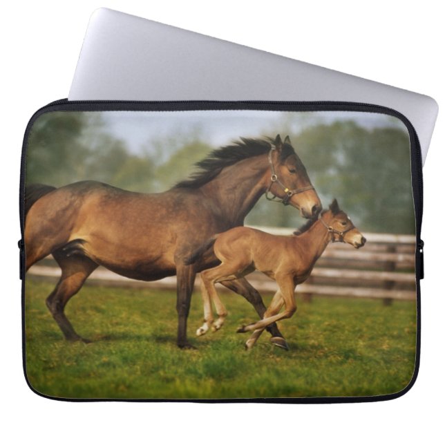 Kastanie-Mare & Foal Laptopschutzhülle (Vorderseite)