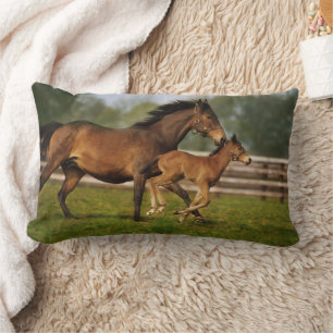 Kastanie-Mare & Foal Lendenkissen