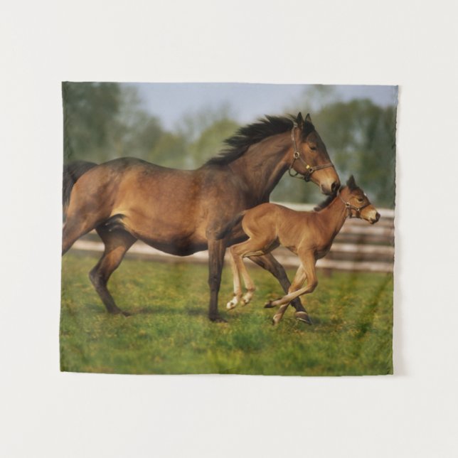 Kastanie-Mare & Foal Wandteppich (Vorderseite (Horizontal))