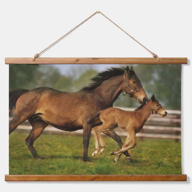 Kastanie-Mare & Foal Wandteppich Mit Holzrahmen (Vorne)