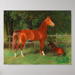 Kastanie mit Foal auf der Wiese   Hans Haag Poster