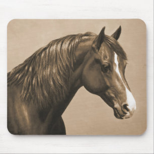 Kastanie-Morgan-Pferd in Sepia Mousepad