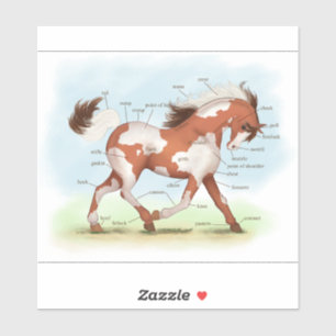 Kastanie Overo Skewbald Horse Anatomie Chart Aufkleber