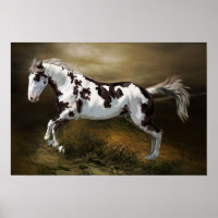 Kastanie-Splash Rahmen Tovero Paint Horse