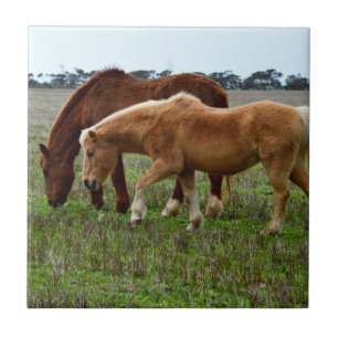 Kastanie und Palomino Foal, Fliese