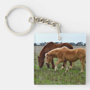 Kastanie und Palomino Foal, Schlüsselanhänger