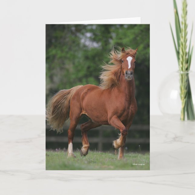 Kastanie Walisischer Pony Mane und Schwanz Blühen Karte (Vorderseite)