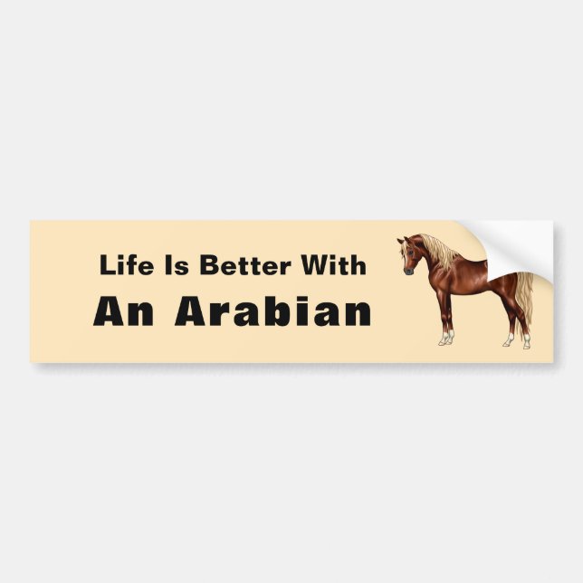 Kastanien Ägyptisches Arabianisches Pferd Flaxen M Autoaufkleber (Vorne)