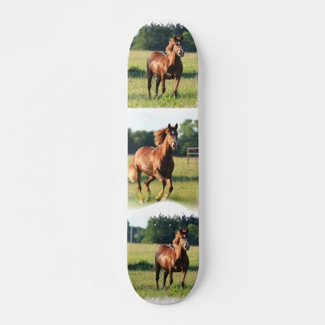 Kastanien-PferdeSkateboard Skateboard (Vorne)