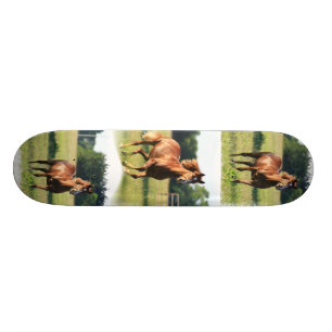 Kastanien-PferdeSkateboard Skateboard