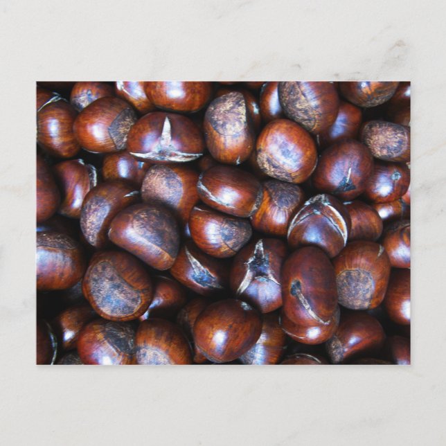 Kastanien Postkarte (Vorderseite)