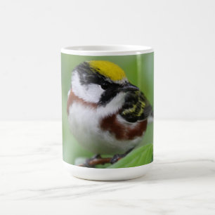 Kastanien Side Warbler Kaffeetasse