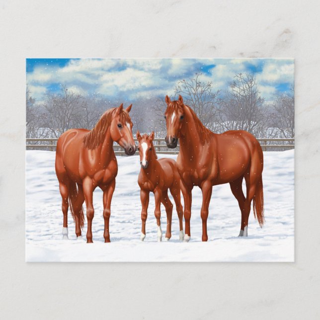Kastanien-Sorrel-Schlachtross im Schnee Postkarte (Vorderseite)