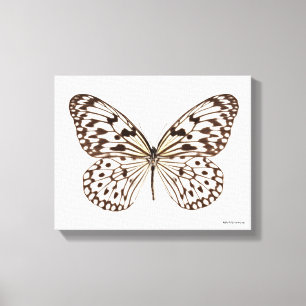 Kastanien-Tiger-Schmetterling Leinwanddruck