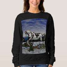Kastanien und Weißes Paint Horst im Schnee