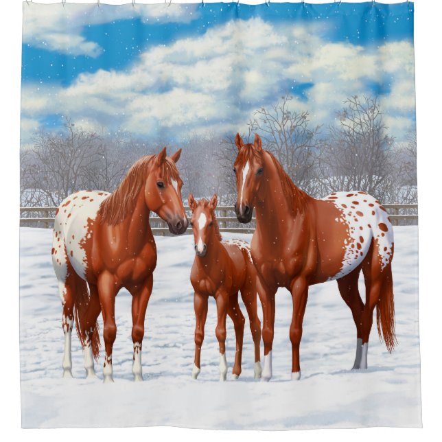Kastanienappaloosa Sorrel Rote Pferde im Schnee Duschvorhang (Vorderseite)