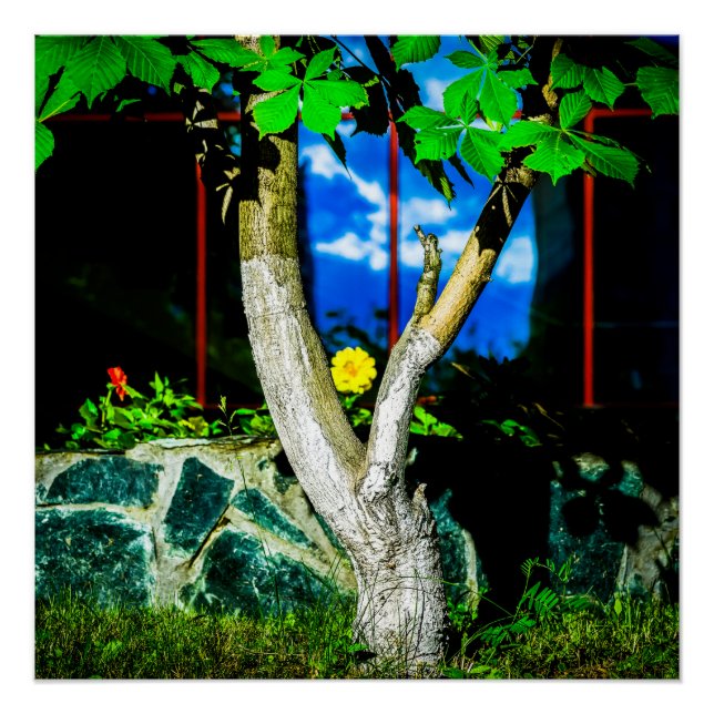 Kastanienbaum Poster (Vorderseite)