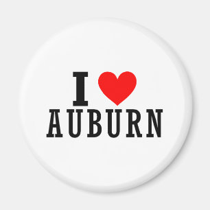 Kastanienbraun, Alabama-Stadt-Entwurf Magnet