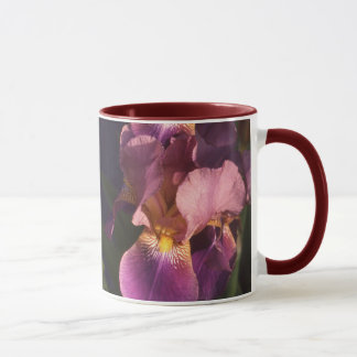 Kastanienbraun-und Rosa-bärtige niederländische Tasse