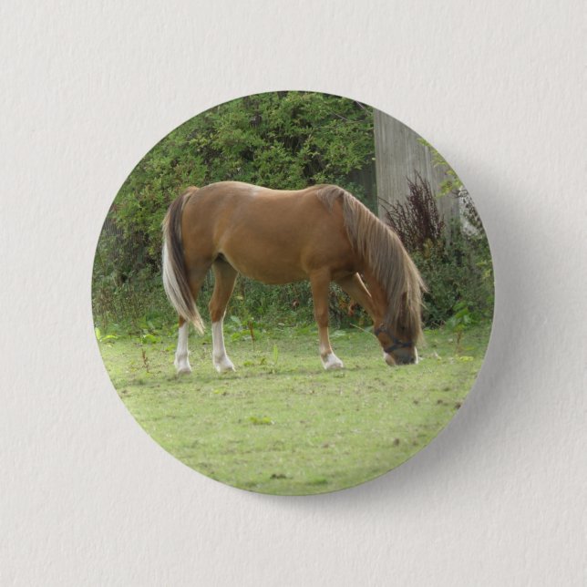 Kastanienbraun - Weideknopf Button (Vorderseite)