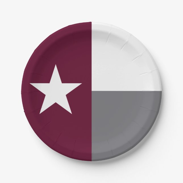 Kastanienbraune Texas-Flagge Pappteller (Vorderseite)
