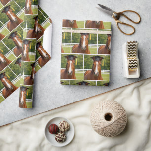 Kastanienbraunes Pferd Absolvent Geschenkpapier