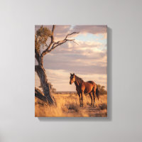 Kastanienbraunes Pferd Golden Savannah Gemälde