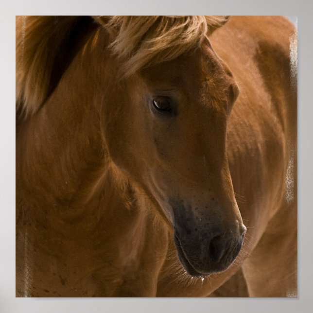 Kastaniendesign - Druck Poster (Vorne)