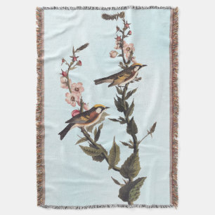 Kastaniengefiederter Audubon-Vogel auf Wildblume Decke