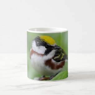 Kastanienhalde Kaffeetasse