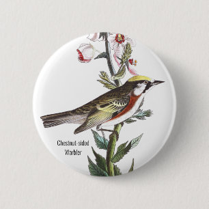 Kastanienholz, Audubon, Vogelbeobachter Accessoire Button
