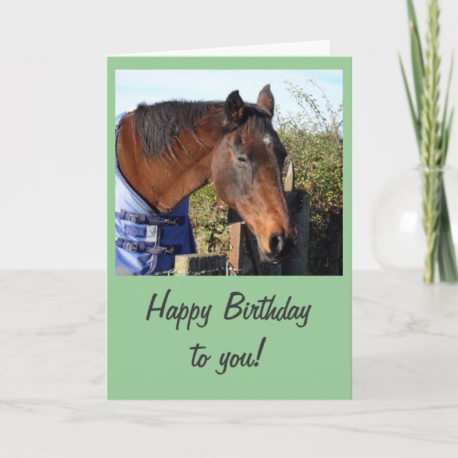 Kastanienpferd 'Happy Birthday' Karte (Vorderseite)