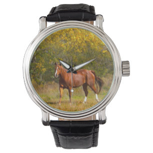 Kastanienpferd im Herbst Armbanduhr