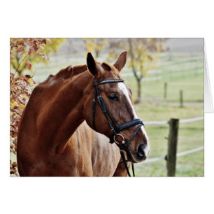 Kastanienpferd mit Blaze, Bridle, in Weide