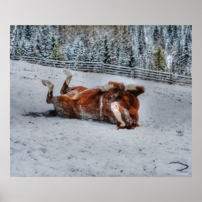 Kastanienrutsche im Winterschnee-Foto Poster (Vorne)