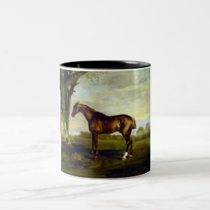 Kastanienrutsche in einer Landschaft (George Stubb Zweifarbige Tasse