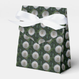 Kästchen für die Blume der Samen von Kronleuchter Geschenkschachtel