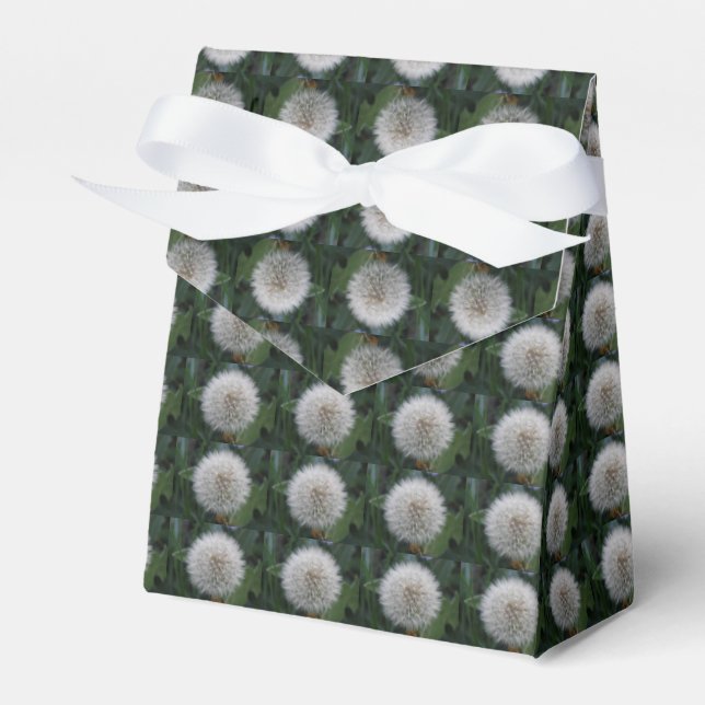 Kästchen für die Blume der Samen von Kronleuchter Geschenkschachtel (Vorderseite)