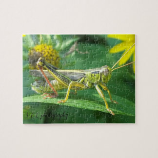 Kasten des Heuschrecken-Fotografie-Puzzlespiels