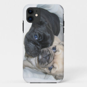 Kasten mit zwei Möpse Case-Mate iPhone Hülle